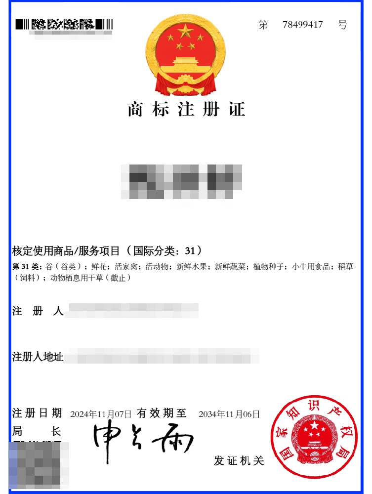 商标注册